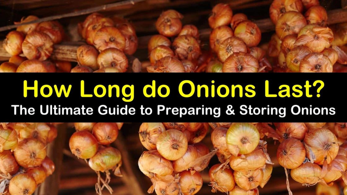 how to store onions with easer lifestyle