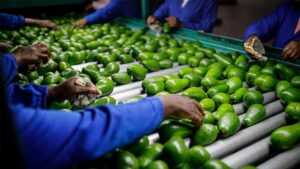 Products That Dominate African Consumer Markets