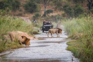 Africa’s Most Underrated National Parks Worth Visiting