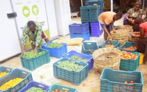 Bulk Food Strategies for Large African Households
