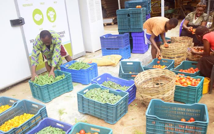 Bulk Food Strategies for Large African Households
