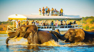 Affordable Travel Experiences in North Africa