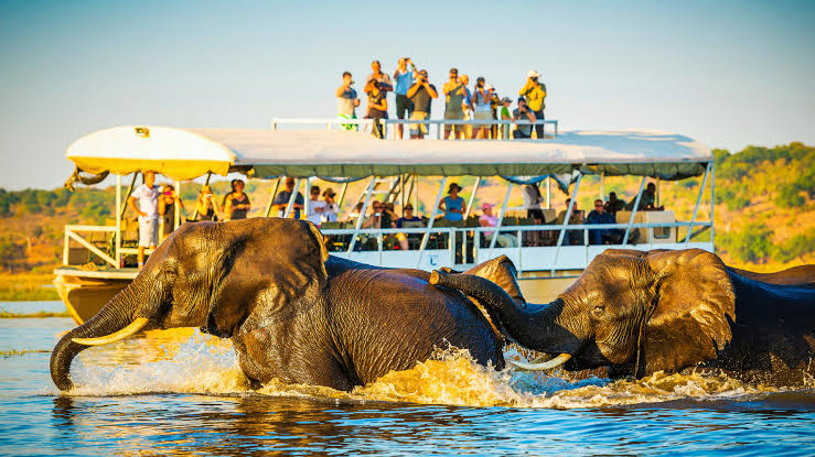 Affordable Travel Experiences in North Africa