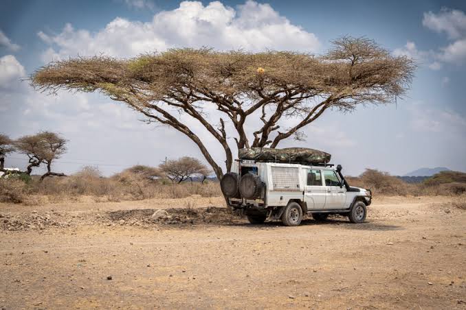 Travel Experiences Along Africa's Historic Routes