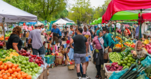 Emerging Consumer Preferences