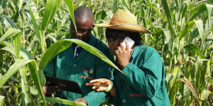 Innovations Supporting Agricultural Distribution