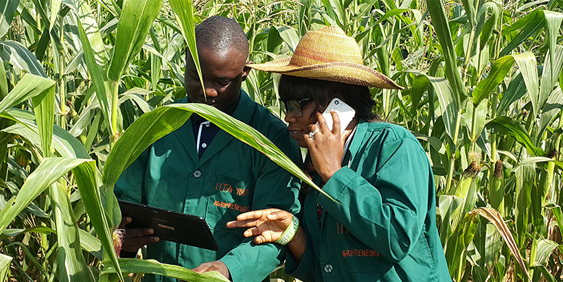 Innovations Supporting Agricultural Distribution