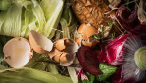 Food-Sharing Networks Reducing Waste
