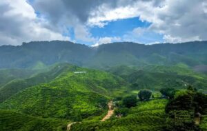 Eco-Tourism Destinations Supporting Conservation