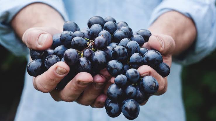Reducing Food Waste Through Community Action