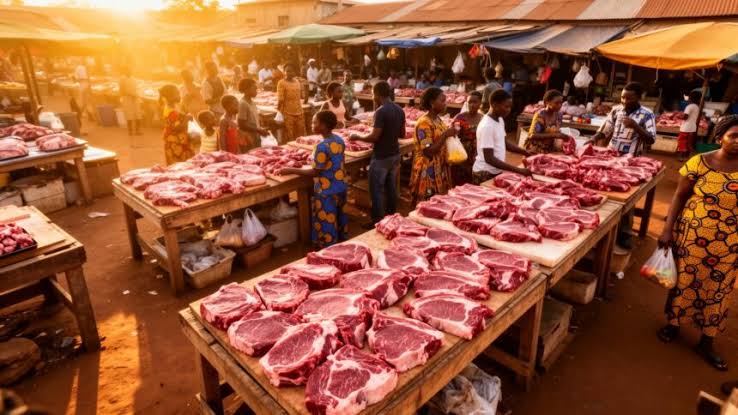 Future of Bulk Food Sharing in Africa
