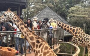 Top Hidden Travel Gems for 2026