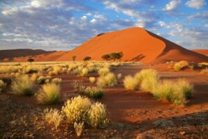 Exploring Africa’s Desert Landscapes