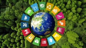 Sustainable Development Goals in Practice