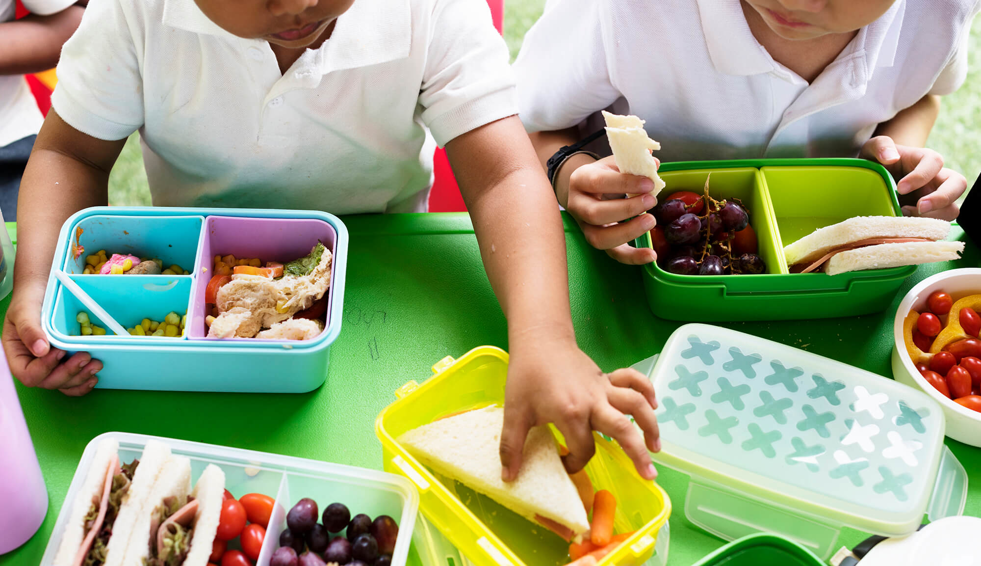 Food-Sharing Models That Can Work in Student Communities