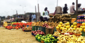 The Future of Food Security in Africa