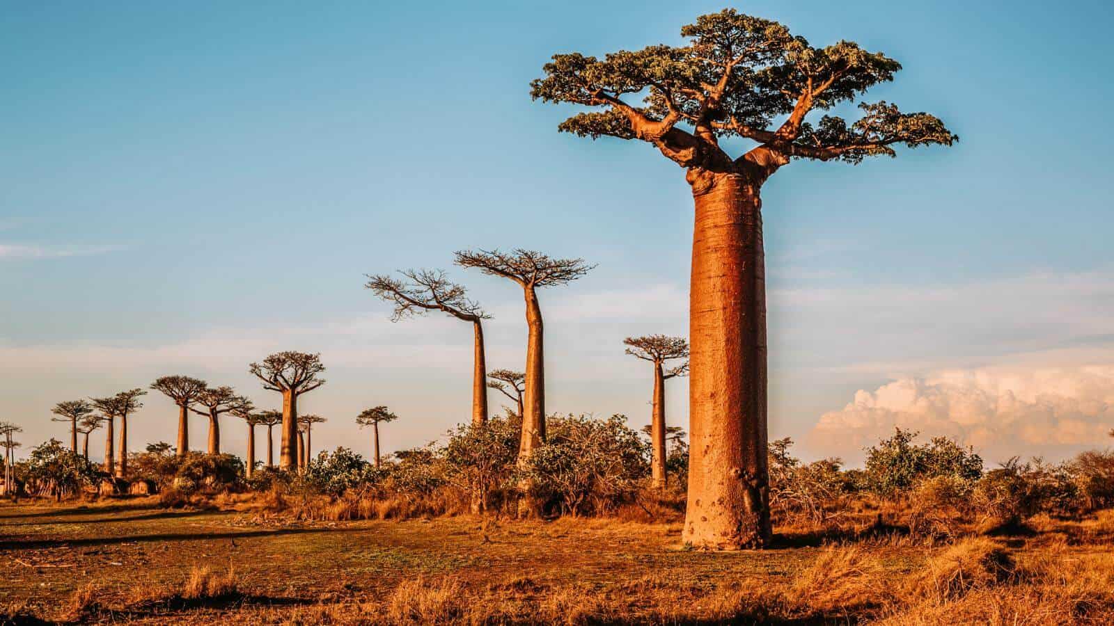Exploring Africa's New Tourism Frontiers