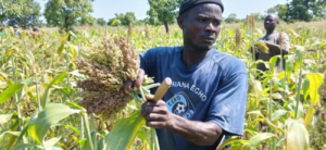 Long-Term Community Food Solutions
