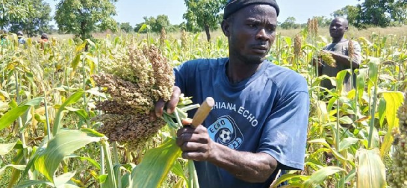 Long-Term Community Food Solutions