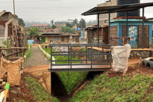 Better Drainage Systems for African Neighborhoods