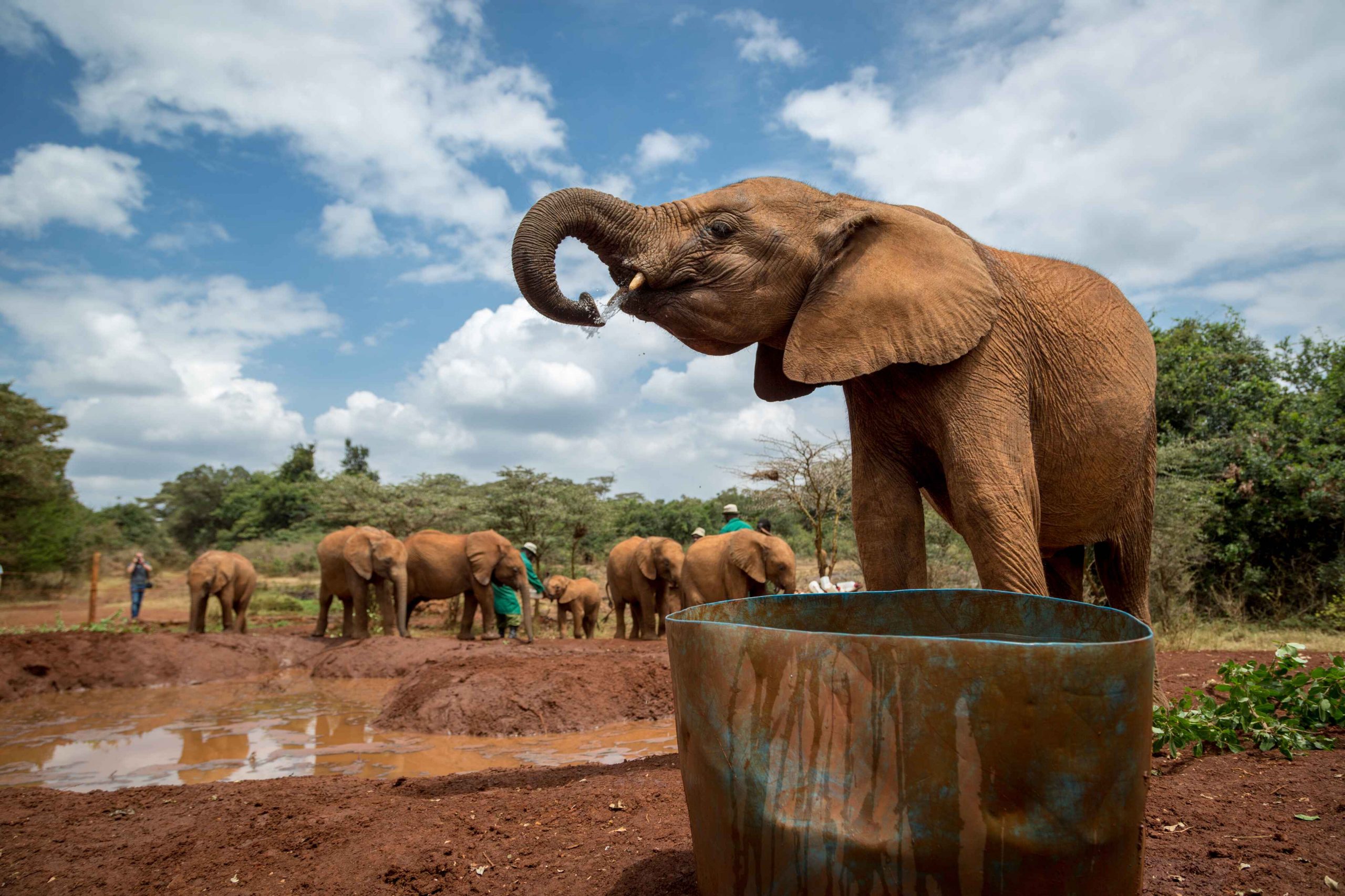 African Destinations That Combine Nature and History