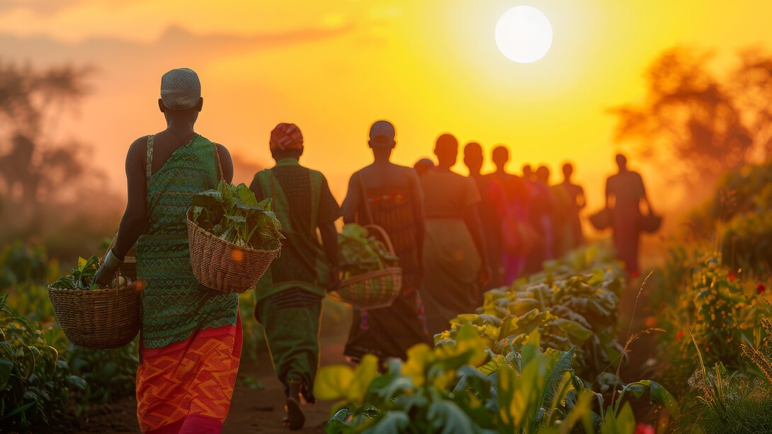 Why Some African Markets Operate Before Sunrise