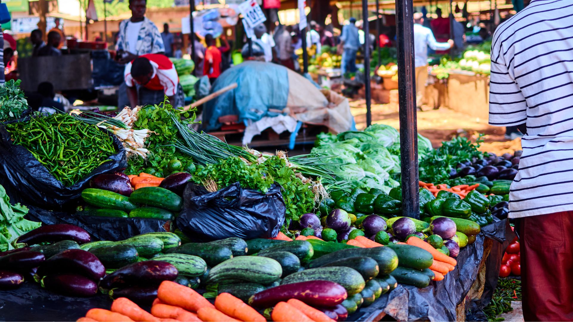 Why Local Produce Markets Matter to City Food Systems