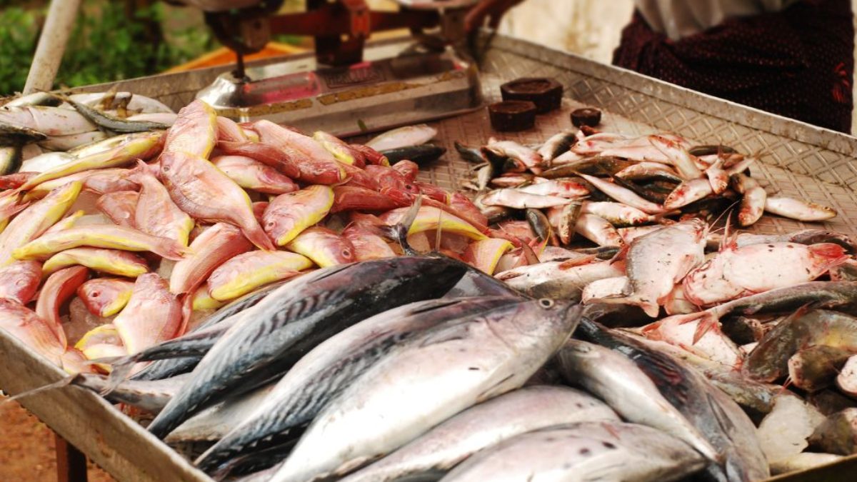 Community Buying Models for Fresh Fish and Meat
