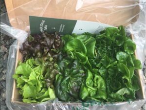 How Local Producers Are Finding Customers Directly