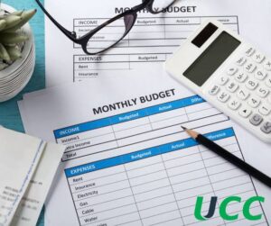Managing Household Supplies on a Budget