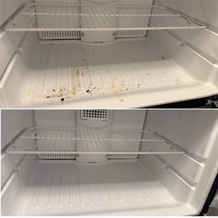 How to Clean Your Fridge and Freezer Properly
