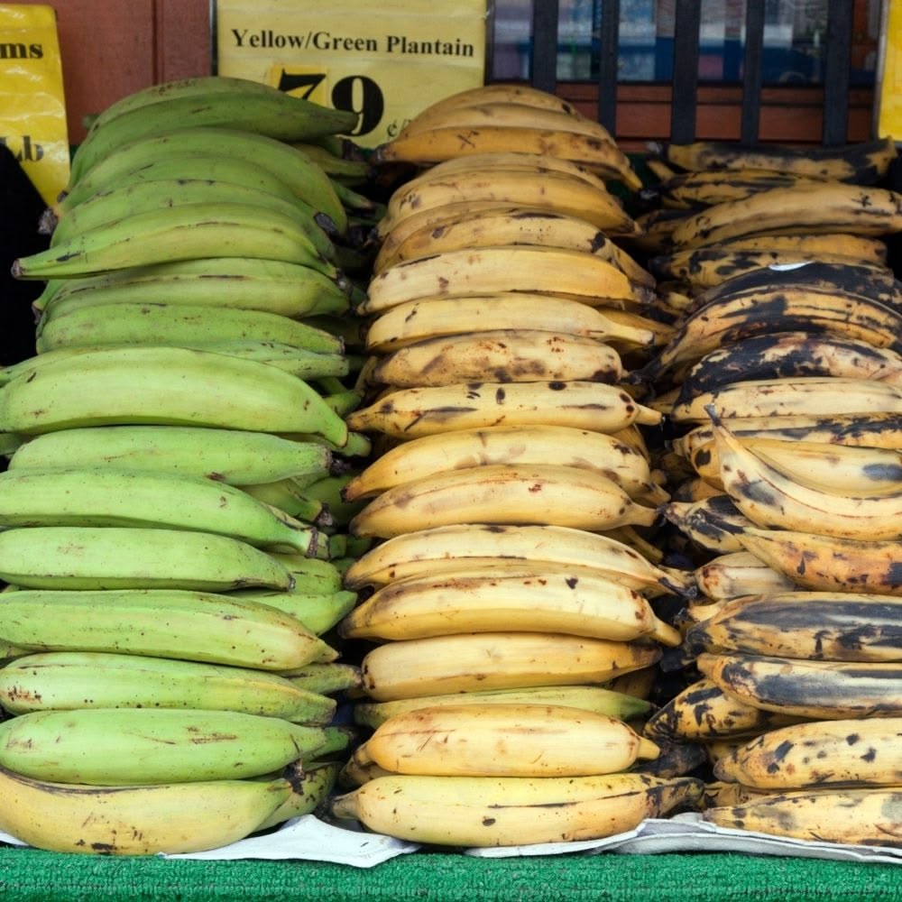 Can You Freeze Plantain?