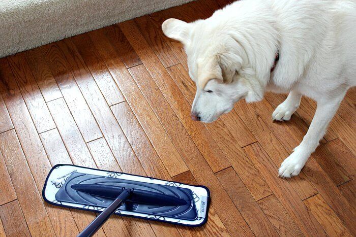 How to Keep a Clean Home With Kids and Pets