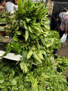 How to Store Ugu and Leafy Vegetables for a Full Week