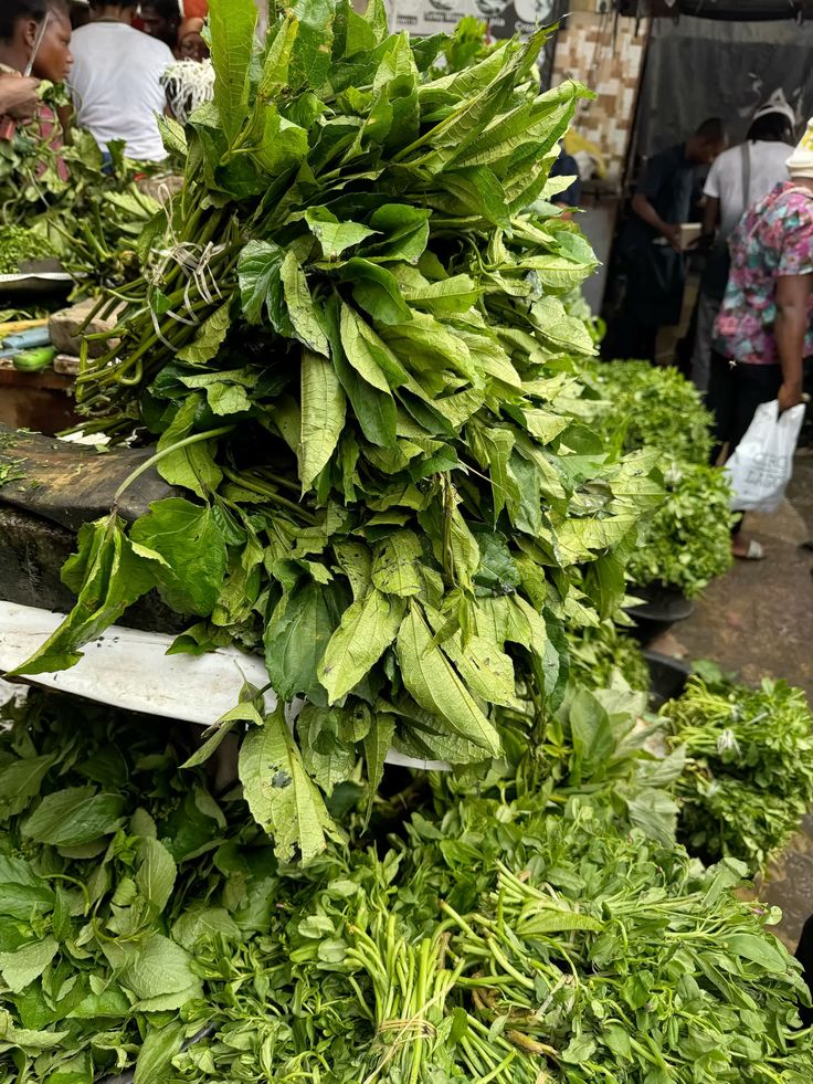 How to Store Ugu and Leafy Vegetables for a Full Week