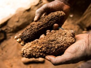 7 Signs Your Yam Has Gone Bad (and What to Do Next)