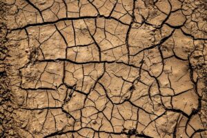 Harmattan and Logistics: How Dry Season Affects Deliveries