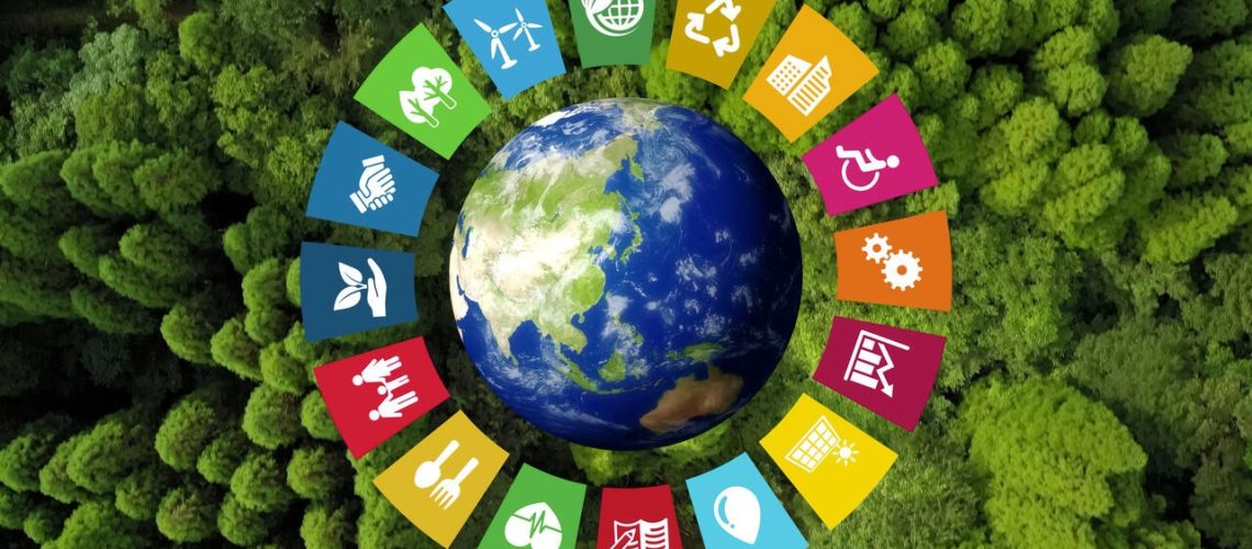 Sustainable Development Goals in Practice