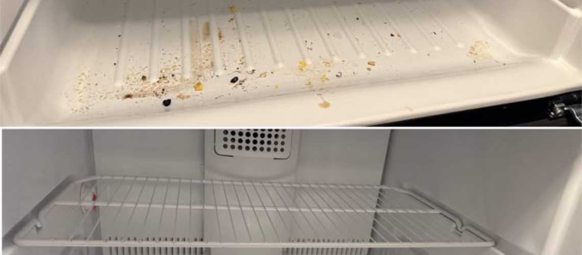 How to Clean Your Fridge and Freezer Properly