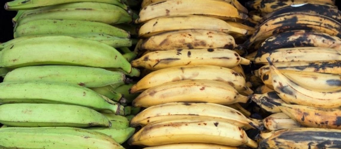 Can You Freeze Plantain?