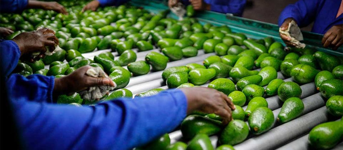 Products That Dominate African Consumer Markets