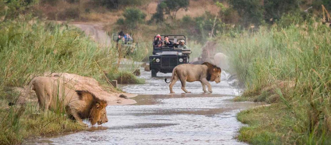 Africa's Most Underrated National Parks Worth Visiting