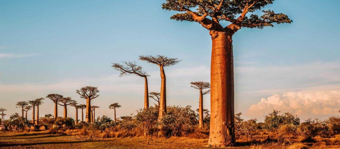 Exploring Africa's New Tourism Frontiers