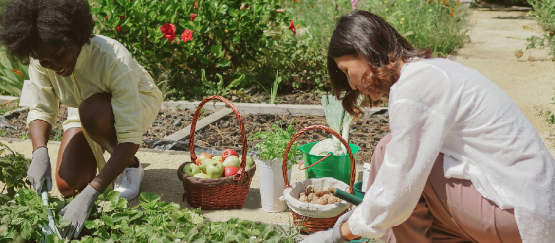 Community-Based Solutions to Food Challenges