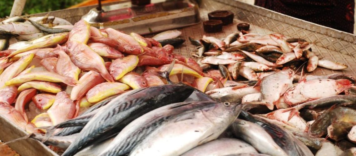 Community Buying Models for Fresh Fish and Meat