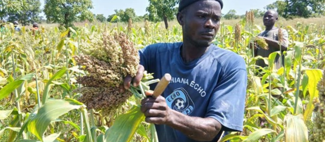 Long-Term Community Food Solutions