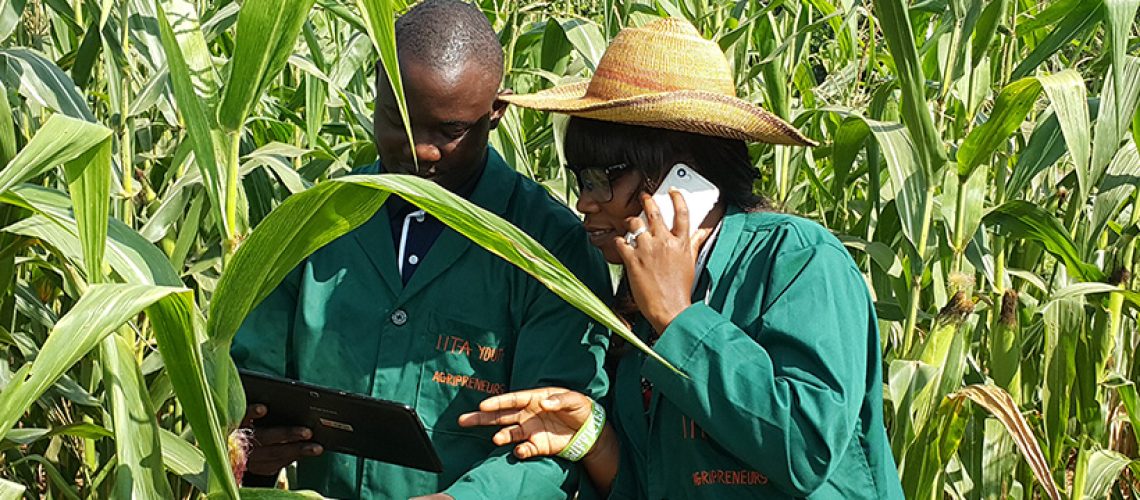 Innovations Supporting Agricultural Distribution