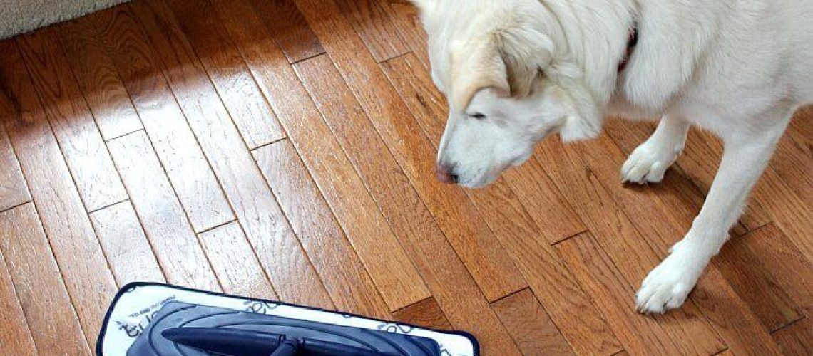 How to Keep a Clean Home With Kids and Pets