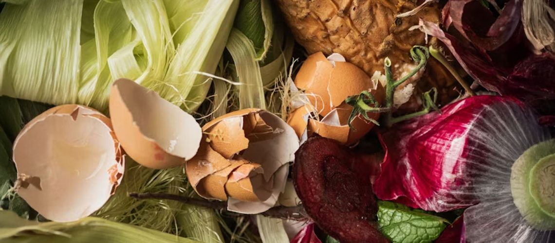 Food-Sharing Networks Reducing Waste