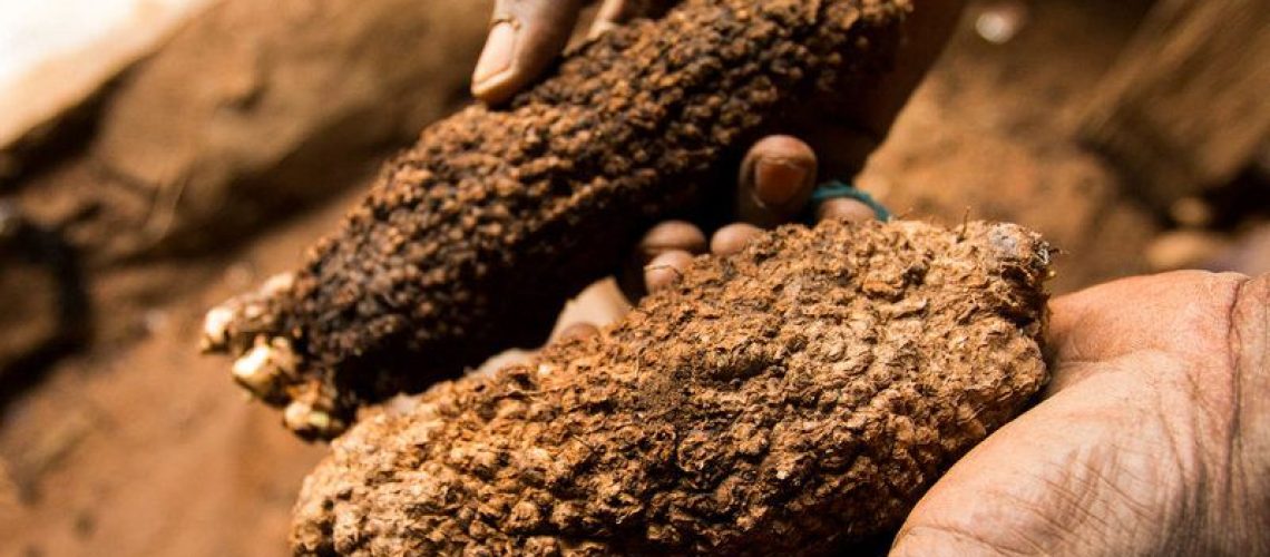 7 Signs Your Yam Has Gone Bad (and What to Do Next)